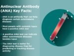 ANTI NUCLEAR ANTIBODIES (ANA)