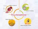 FRUCTOSAMINE