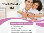TORCH PANEL - IGM