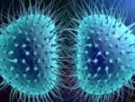 CHLAMYDIA TRACHOMATIS PCR